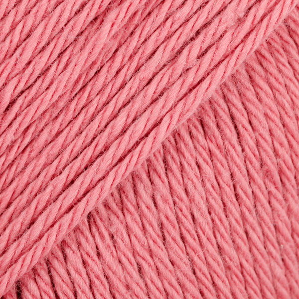 13 rosa velho