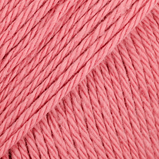 13 rosa velho