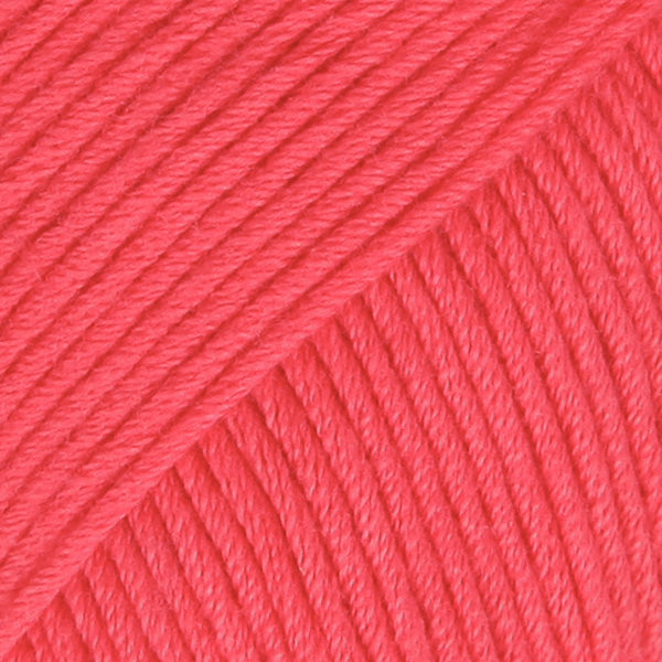 13 raspberry