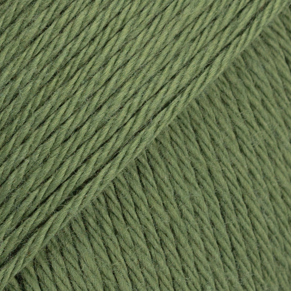 55 verde musgo escuro